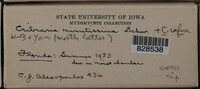 Image Associated With the Occurence